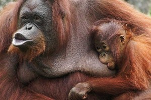 Interview de Laurence Duthu, fondatrice et Présidente de l'association 