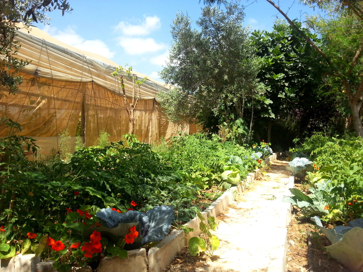 20130613_105155