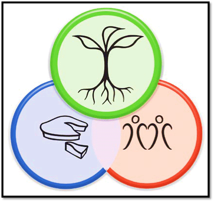 Le Mouvement des Villes en Transition: Politique et Apartisan