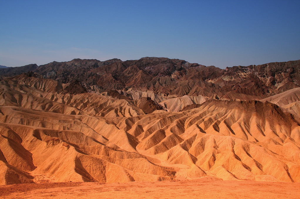 Planète Terre, Planète Désert ?