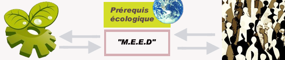 « M.E.E.D » Le Modèle Économique, Écologique et Démocratique