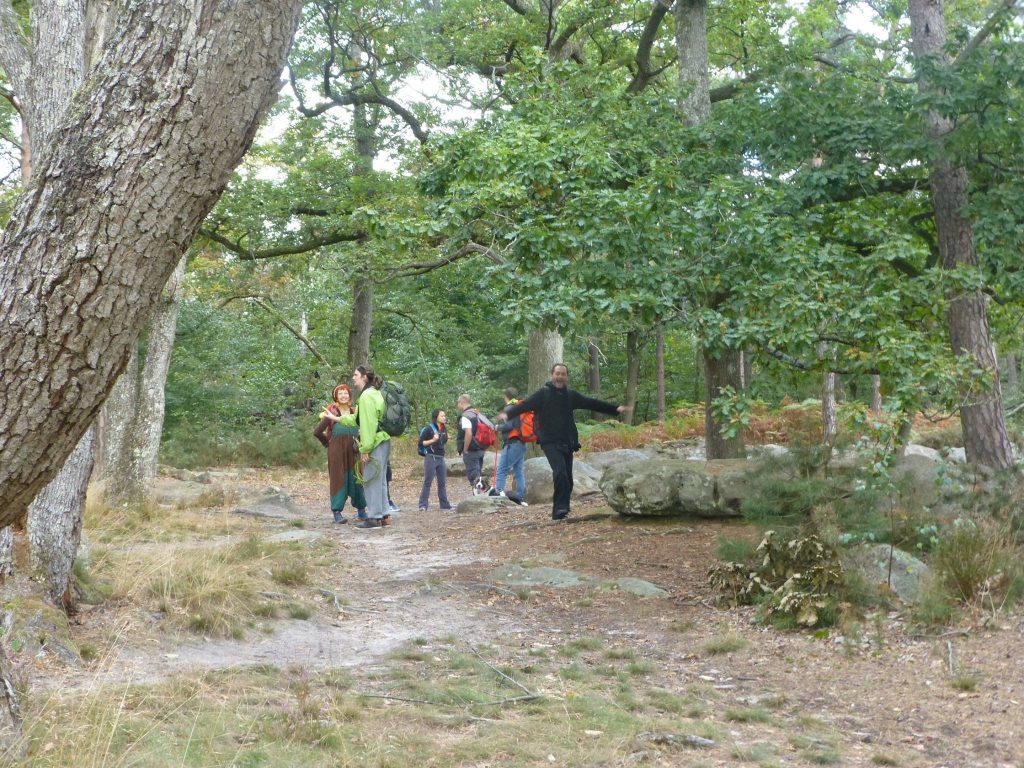 rando-fontainebleau-2-10-2016-3